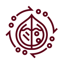 icon_Standardized_Potent