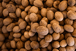Nutmeg